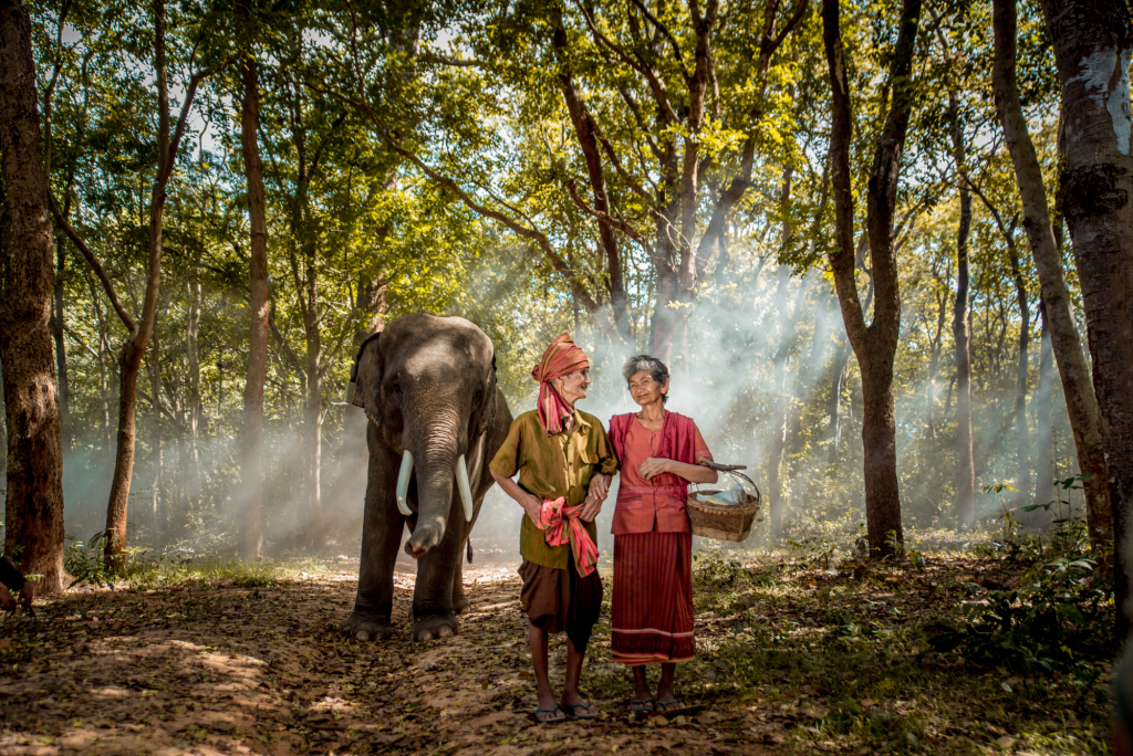 Best Months to Visit Cambodia: All You Should Know