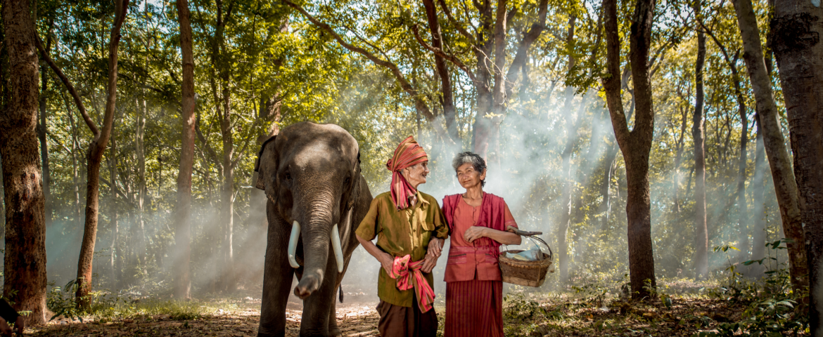 Best Months to Visit Cambodia: All You Should Know