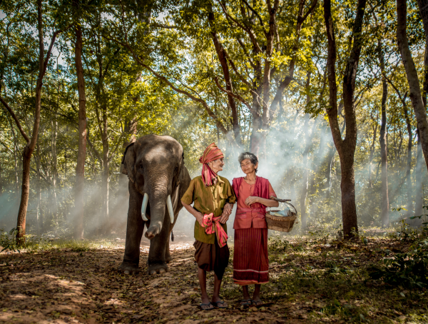 Best Months to Visit Cambodia: All You Should Know